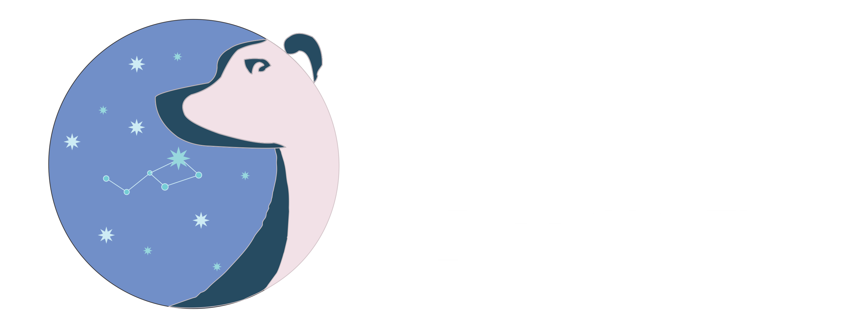 Logo TIC DESARROLLO MAG